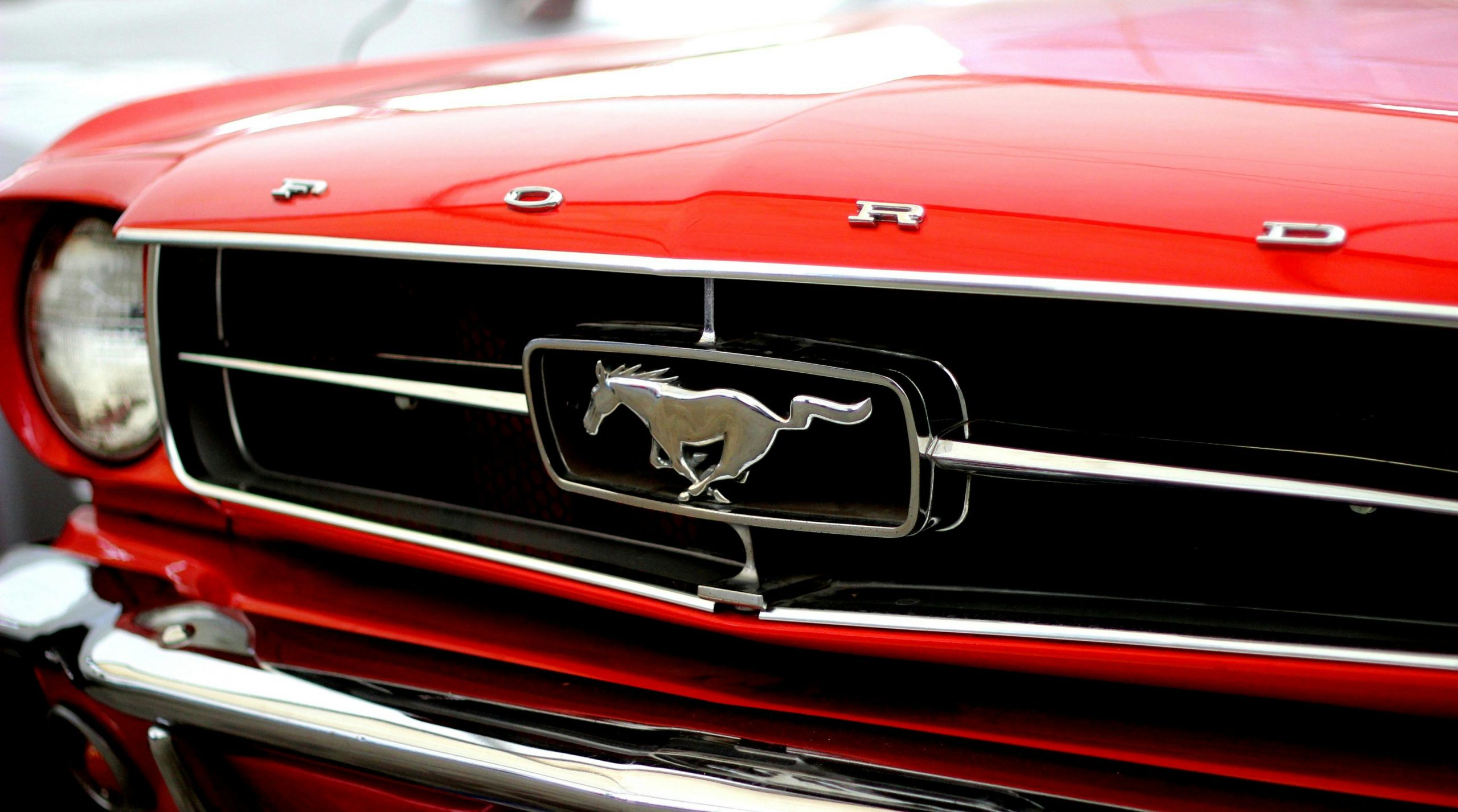 shiny red hood of a classic Ford muscle car